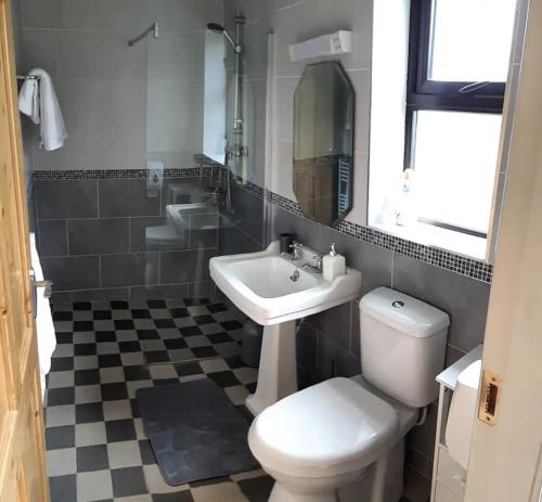 a bathroom with a toilet and a sink at The Dairy Lodge in Kilmallock