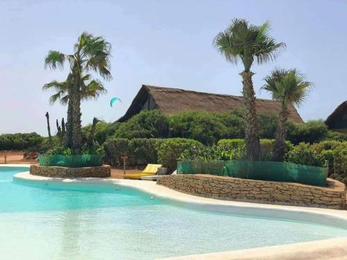 ein Resort mit Palmen und einem Pool in der Unterkunft Tommy Tour Sahara in Ad-Dakhla