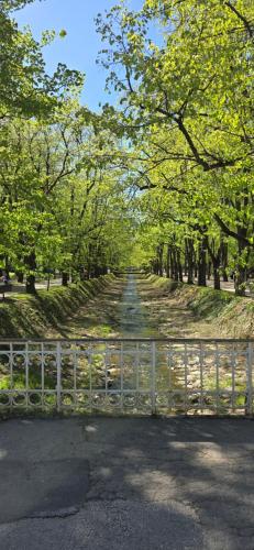 une clôture au milieu d'une route arborée dans l'établissement Sienas Holiday Home, à Vrnjačka Banja