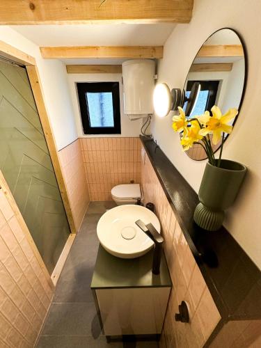 Kuća na drvetu - Zlatar Hill - Treehouse في نوفا فاروس: حمام صغير مع مرحاض و مزهرية مع الزهور الصفراء