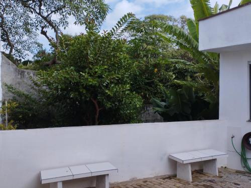 Nostra Cuesta Hostel في بوتوكاتو: مقعدين على جدار أبيض مع أشجار