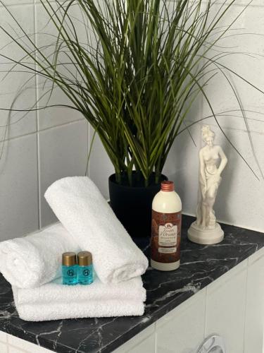 a bathroom counter with two towels and a plant at Ferienwohnung Nispel in Limburg an der Lahn