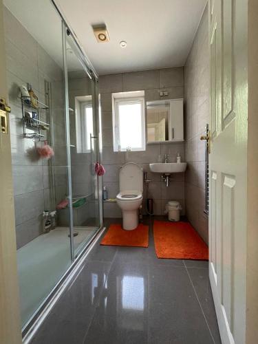 a bathroom with a shower and a toilet and a sink at Comfortable. home from home in Loudwater