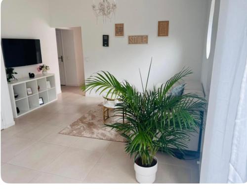 a living room with a potted plant on the floor at Maison proche du lac d’Enghien les bains in Saint-Gratien