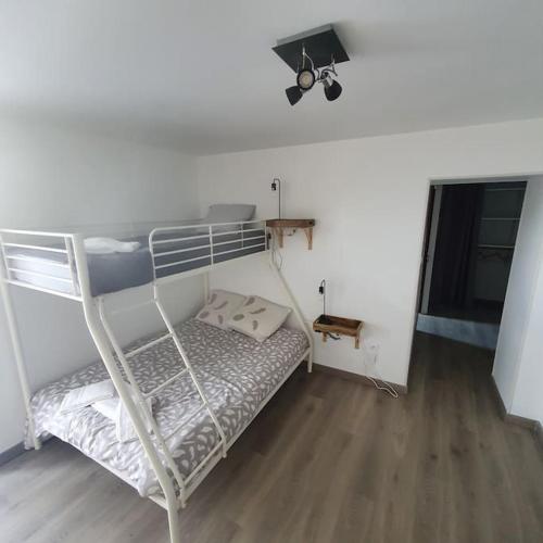 a bedroom with a bunk bed with a ladder at Chez Dédé et Néné in Mirepoix