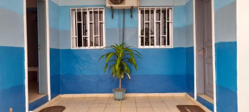 una casa azul con una planta delante en CHEZLIBAMA, en Franceville