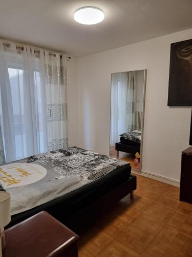 ein Schlafzimmer mit einem großen Bett in einem Zimmer in der Unterkunft Rue de l'Indiennerie 3 in Genf