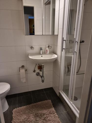 ein Bad mit einem Waschbecken und einer Dusche in der Unterkunft Rue de l'Indiennerie 3 in Genf