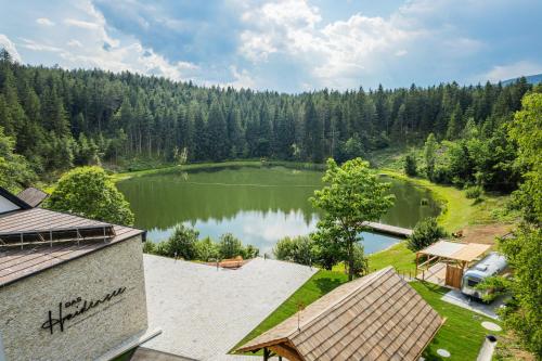 una vista aérea de un lago en un bosque en Das Haidensee, en Glanegg