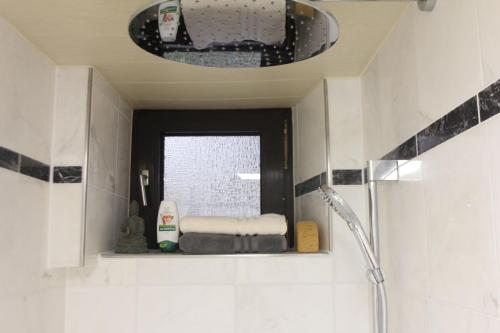 een badkamer met een wastafel, een douche en een spiegel bij Kleine Wohnung für Singles in Daun