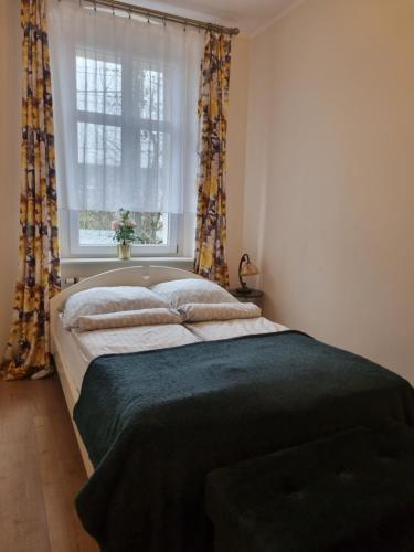 een slaapkamer met een groot bed voor een raam bij Apartamenty Firfas 6 in Bydgoszcz