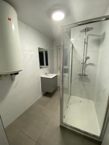 une salle de bain avec douche et lavabo dans l'établissement La Petite Auberge de Strasbourg, à Strasbourg