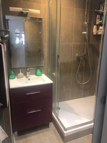 une salle de bain avec douche et lavabo dans l'établissement PARIS Centre Saint-Germain Montparnasse métro Vavin RER Port Royal, à Paris