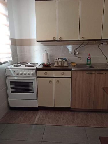 a kitchen with a stove and a sink at Apartman Kutak in Pirot