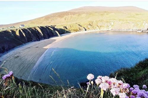 a view of a beach with flowers in the grass at Silver Strand Lodge in Glencolumbkille