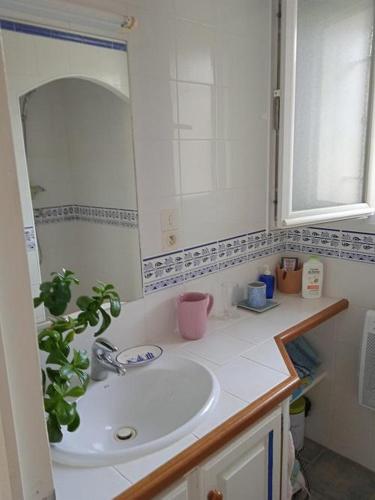 Photo de la galerie de l'établissement Les sources, à Salernes