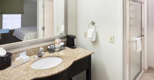 a bathroom with a sink and a mirror at Hampton Inn & Suites Gainesville Downtown in Gainesville