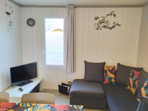 un salon avec un canapé et une télévision dans l'établissement Chalet 2 Chambres à Labouheyre avec Piscine Chauffée, WiFi et Terrasse au Bord d'un Lac - FR-1-783-25, à Labouheyre