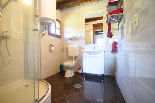 a bathroom with a toilet and a sink and a shower at Old Oak House with pool in Maruševec
