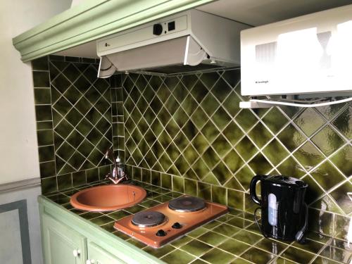 une petite cuisine avec un évier et une cuisinière dans l'établissement Le Domaine du Château des Gipières By Ateya Vacances, à Montbrun-les-Bains