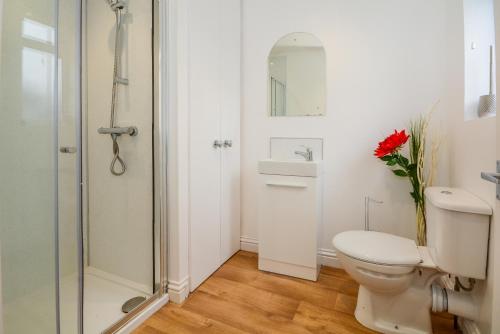 a white bathroom with a toilet and a shower at Henry Court Apartment 3 in York