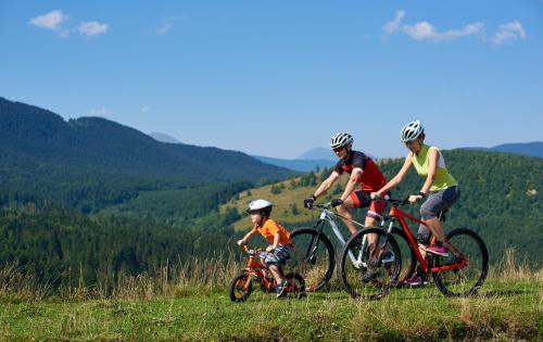 un grupo de tres personas montando bicicletas en una colina en Hôtel L'Arboisie en Megève