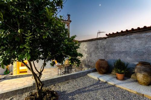 a tree sitting next to a wall with vases at Valira Cozy Maisonette - Relaxing Vibes Getaway in Valíra