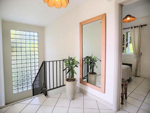 a room with two potted plants and a mirror at Tropical villa Pereybere in Pereybere