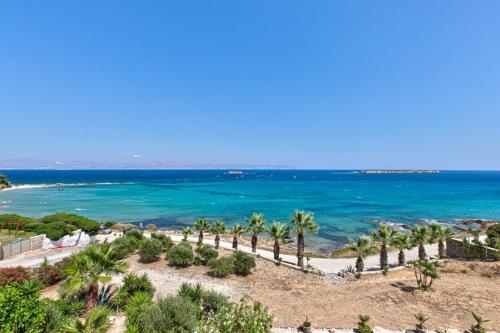 a view of a beach with palm trees and the ocean at Paros Blue Dolphin FULLY RENOVATED by RIVEA GROUP in Chrissi Akti