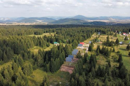 una vista aérea de un bosque con casas y árboles en Eden, en Žabljak