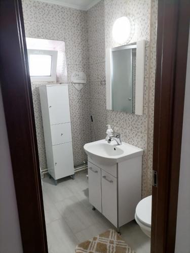 SorinaApartament1 في تارجو نيمت: حمام مع حوض ومرحاض ومرآة