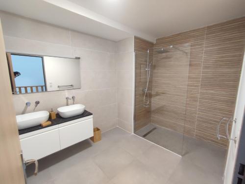 uma casa de banho com um lavatório e um chuveiro em Lodge Tamarins em Saint-Pierre