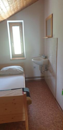 ein Schlafzimmer mit einem Bett, einem Waschbecken und einem Fenster in der Unterkunft Črnuški dom na Mali planini in Krivčevo