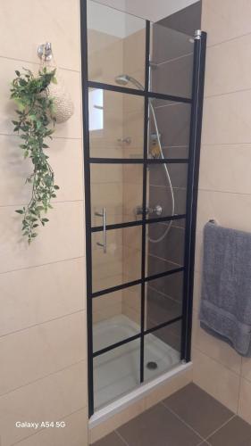 a glass cabinet with a shower in a bathroom at Bella Mandre in Mandre