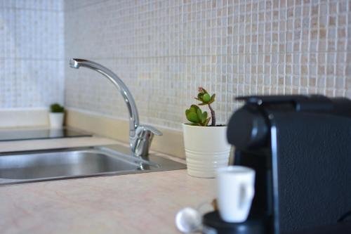eine Küchentheke mit einer Spüle und einer Mikrowelle in der Unterkunft Daphne's studio 2 in Skiathos-Stadt