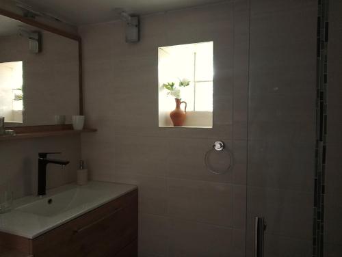 bagno con lavandino e doccia con vaso di Les Trois Chênes a Les Angles Gard