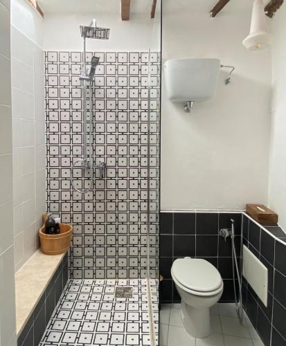 a bathroom with a toilet and a shower at CORNER NEST IN MONTALCINO in Montalcino