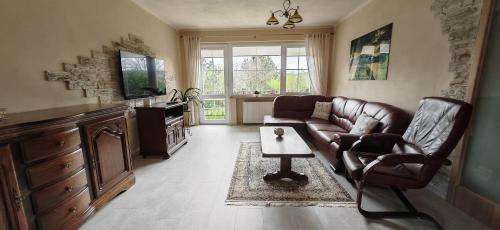 a living room with a leather couch and a table at Apartmá Kanada in Štramberk