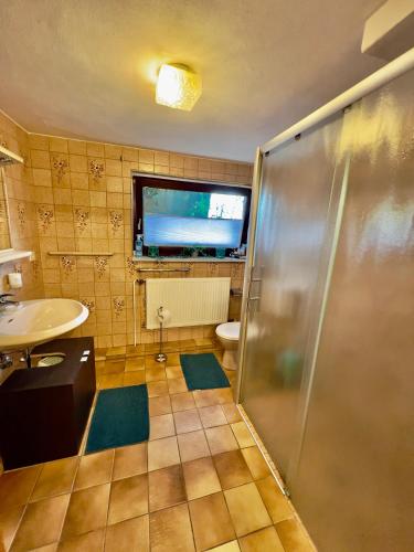 a bathroom with a shower and a sink and a toilet at Ferienwohnung im Vorharz in Liebenburg
