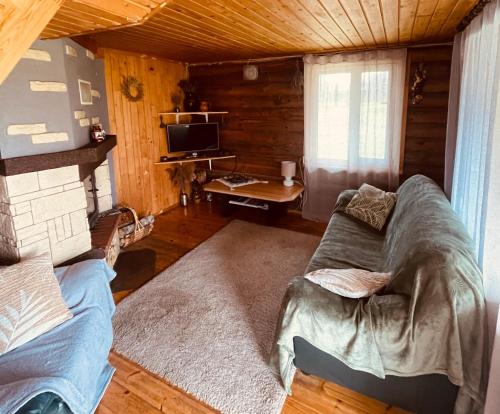 a living room with a couch in a log cabin at Viesu nams RŪĶĪŠI in Rugāji