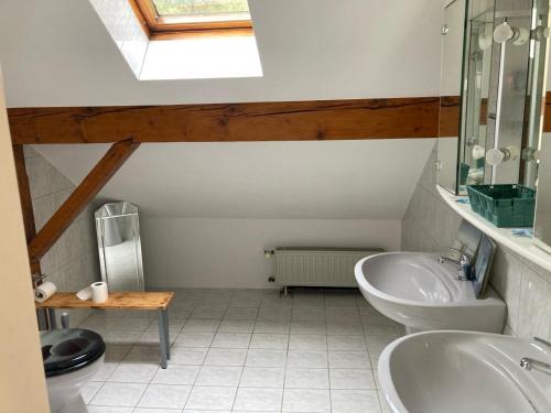 ein Badezimmer mit einem Waschbecken und einer Badewanne in der Unterkunft NaturPur in Monschau