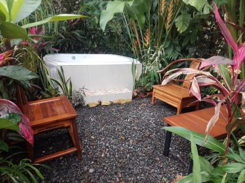 Ảnh trong thư viện ảnh của Casa el Jardin ở Fortuna