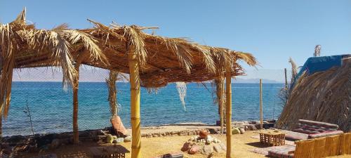 a straw umbrella on a beach with the ocean at Perry’s Island Camp Al Mezina in Nuweiba