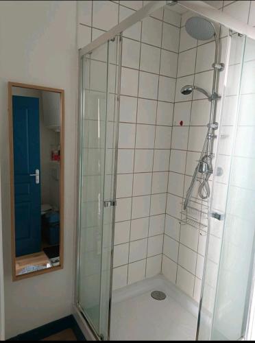 une douche avec une porte vitrée dans une salle de bain dans l'établissement appartement, à Laval