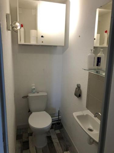 Appt 8 pers / garage / terrasse / vue mer