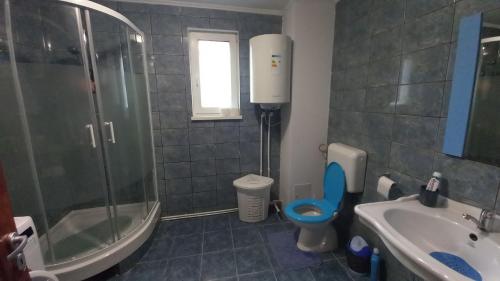 a bathroom with a shower and a toilet and a sink at David House in Bicaz
