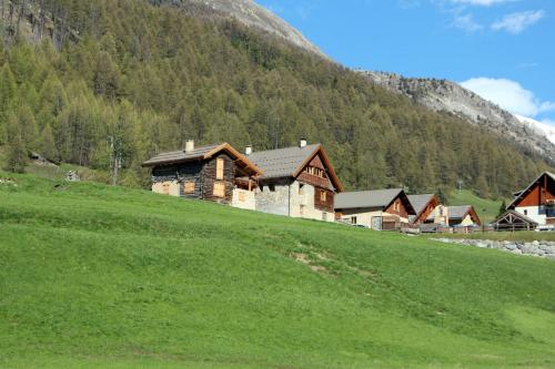 a group of buildings on a hill in a field at Chalet prestige front de neige 14 pers in Ceillac