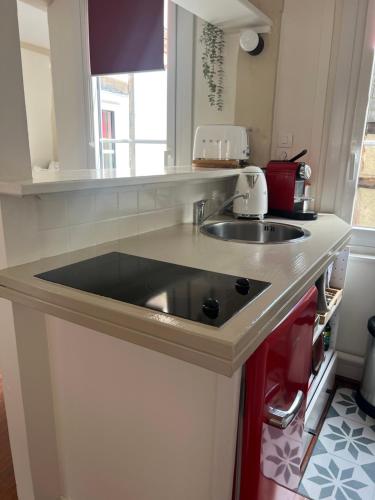 une cuisine avec un évier et un plan de travail dans l'établissement MISCANTHUS, à Honfleur