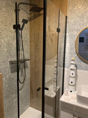 a shower with a glass door in a bathroom at Apartamenty Piaskowe z balkonem in Rowy