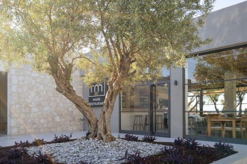 a tree in front of a building at Regia Mare Beach Hotel & Spa Bodrum in Ortakent
